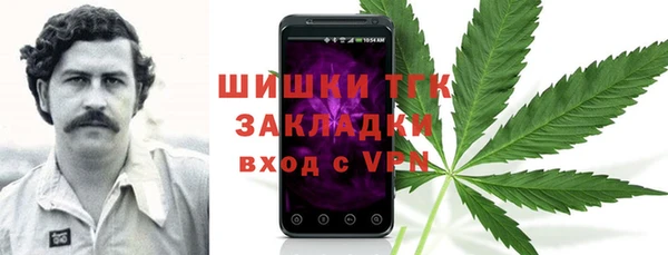 2c-b Алзамай