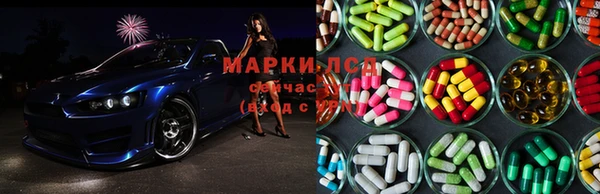 ПСИЛОЦИБИНОВЫЕ ГРИБЫ Алексин